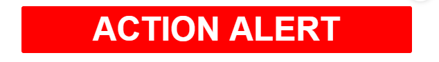 action alert.PNG